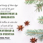 FELIZ NAVIDAD & FELICES FIESTAS